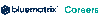 BlueMatrix