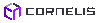 Cornelis Networks, Inc.