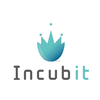 Incubit inc.