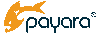 Payara Services