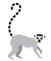 Ringtail Design