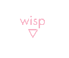 wisp, Inc.